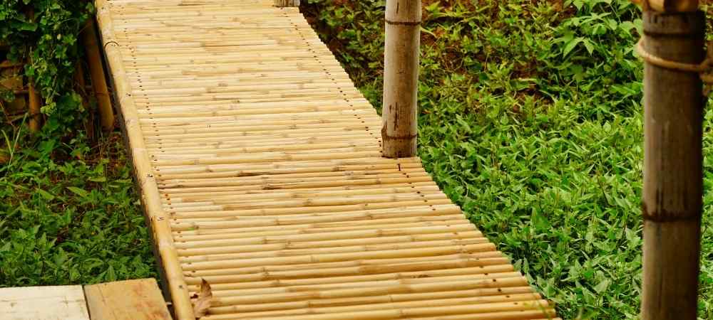 bamboo walkway ideas